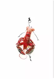 Melle homard - affiche cuisine humour