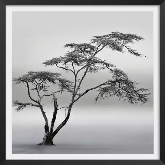 A very long story - tableau foret