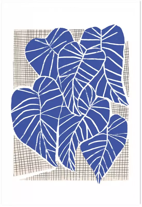 Alocasia bleu - affiche feuille