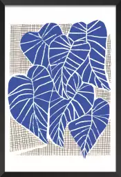 Alocasia bleu - affiche feuille