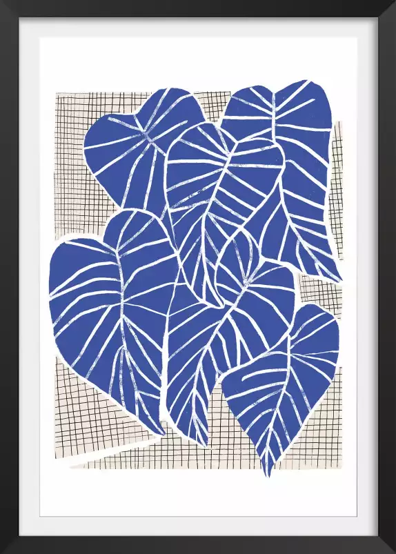 Alocasia bleu - affiche feuille