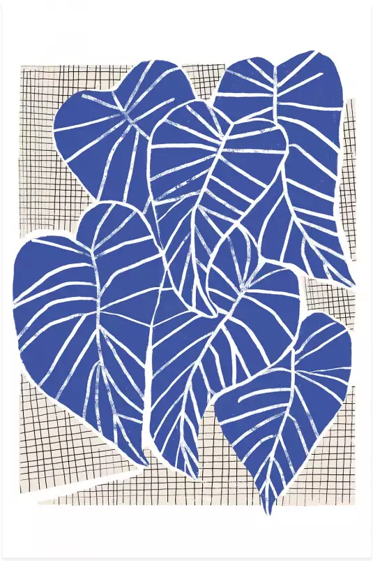 Alocasia bleu - affiche feuille