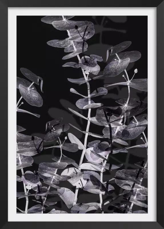 Feuille negative 1 - affiche feuille eucalyptus