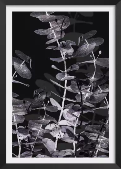 Feuille negative 1 - affiche feuille eucalyptus