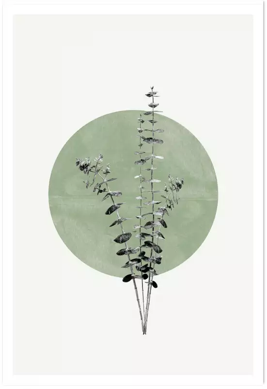 Feuille sur lune verte - affiche feuille eucalyptus