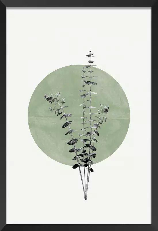 Feuille sur lune verte - affiche feuille eucalyptus