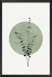 Feuille sur lune verte - affiche feuille eucalyptus