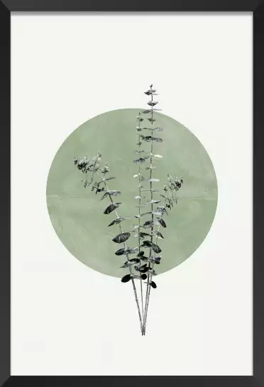 Feuille sur lune verte - affiche feuille eucalyptus