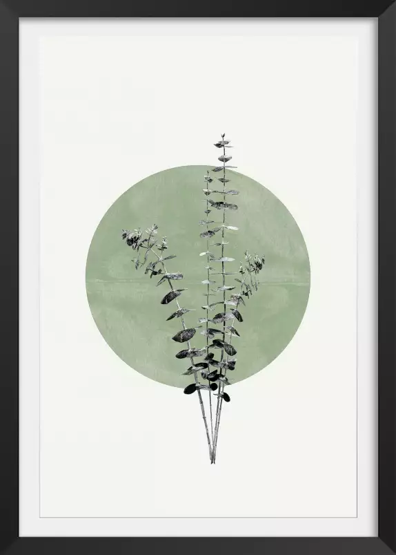 Feuille sur lune verte - affiche feuille eucalyptus