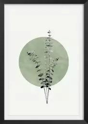 Feuille sur lune verte - affiche feuille eucalyptus