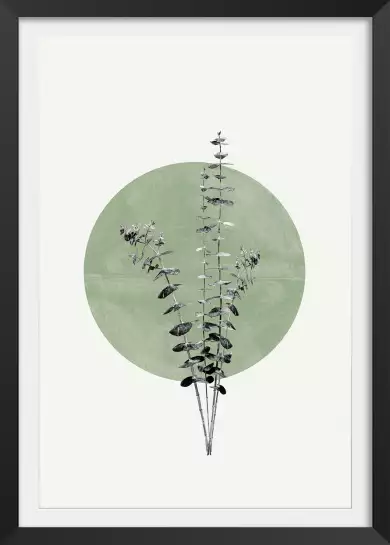 Feuille sur lune verte - affiche feuille eucalyptus