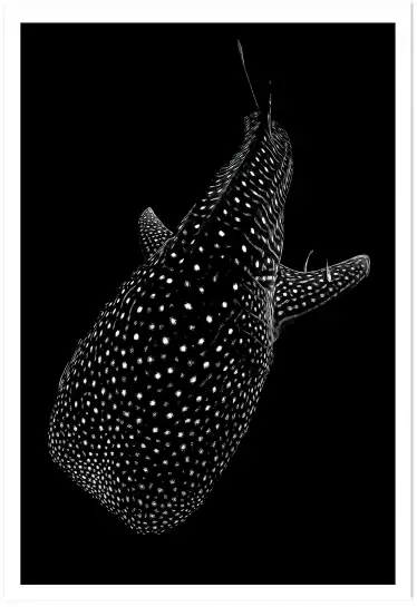 Mer tachetée - affiche baleine