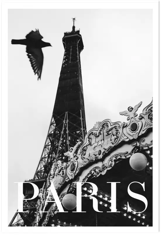 Carroussel et pigeon - photographie paris en noir et blanc