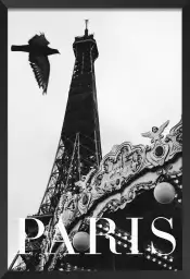 Carroussel et pigeon - photographie paris en noir et blanc