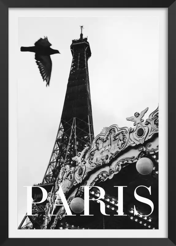 Carroussel et pigeon - photographie paris en noir et blanc