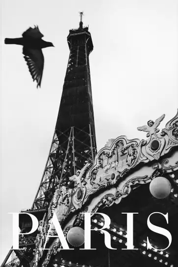 Carroussel et pigeon - photographie paris en noir et blanc