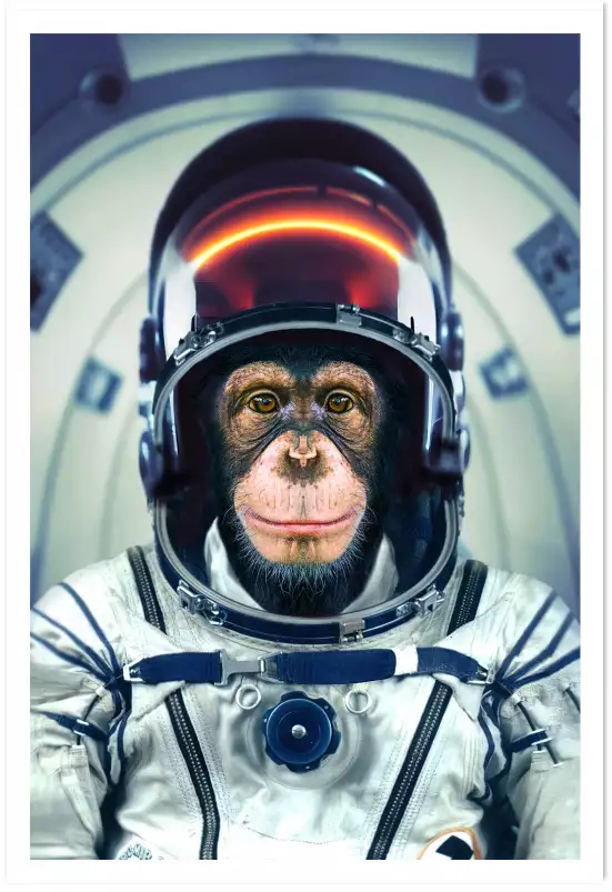 L'astro singe - affiche singe