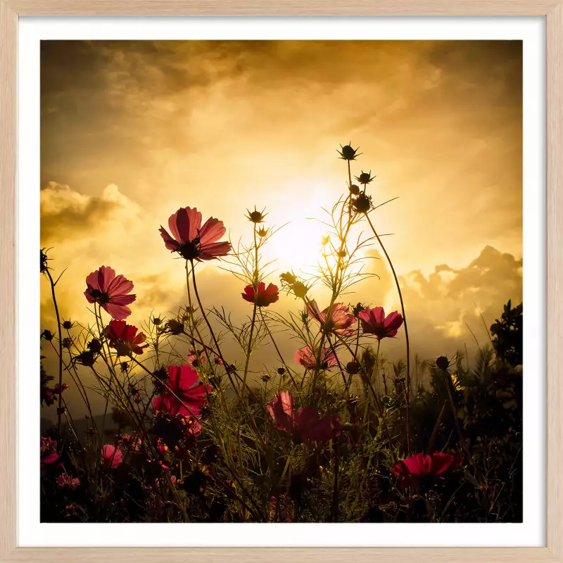 Porte Fleurs Poster - Affiches photo d'été