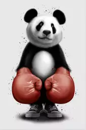 Panda boxer - poster chambre ado