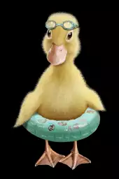 Bouée canard - poster enfant