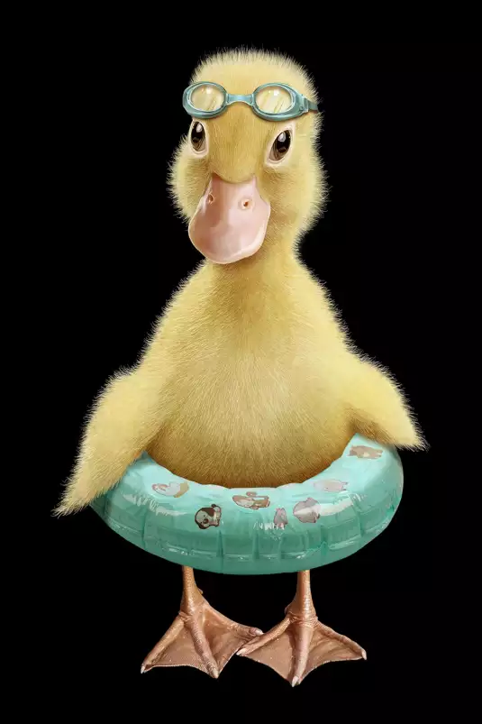 Bouée canard - poster enfant