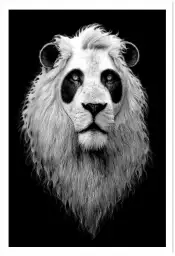 Le pandalion - poster chambre ado