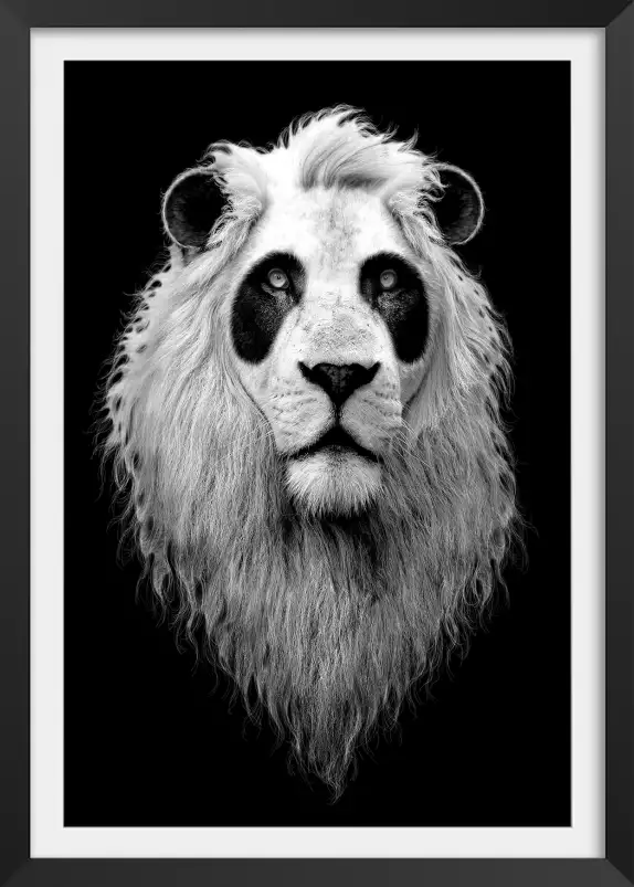 Le pandalion - poster chambre ado