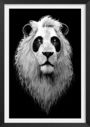 Le pandalion - poster chambre ado