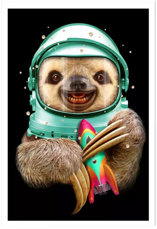 Spacesloth - poster chambre ado