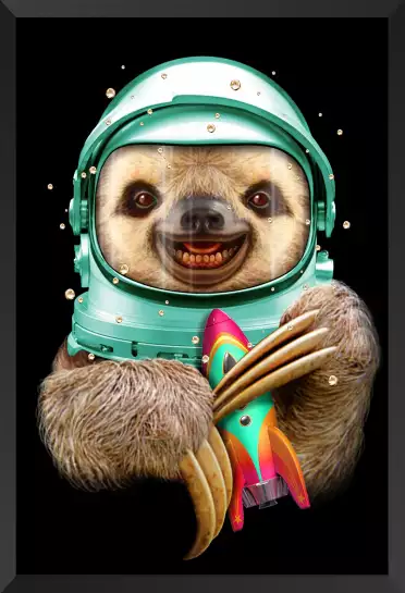 Spacesloth - poster chambre ado