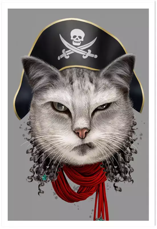 Chat pirate - poster enfant