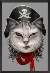 Chat pirate - poster enfant