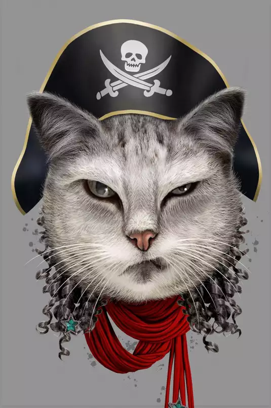 Chat pirate - poster enfant