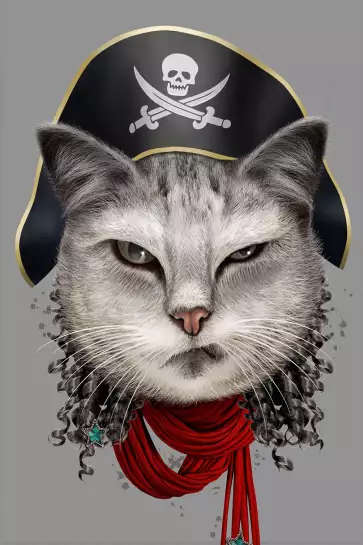 Chat pirate - poster enfant