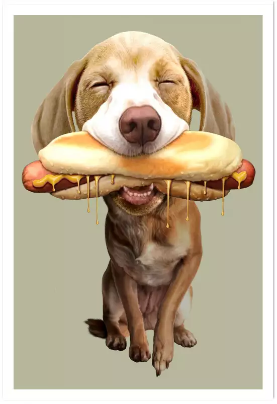 Hot-dog - poster chambre ado