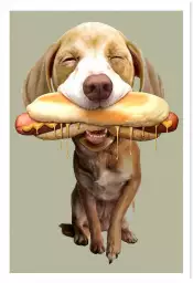 Hot-dog - poster chambre ado