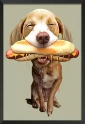 Hot-dog - poster chambre ado