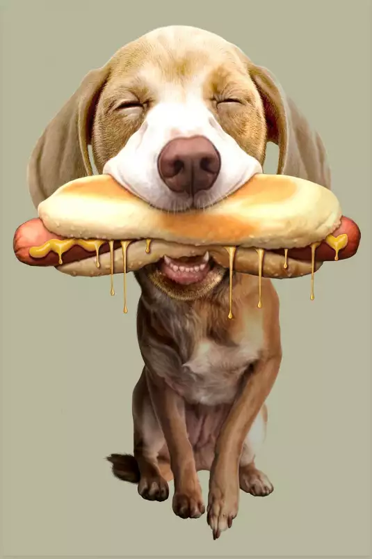 Hot-dog - poster chambre ado