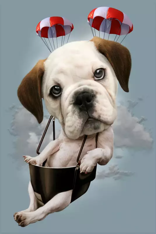 Chiot sur parachute - poster enfant