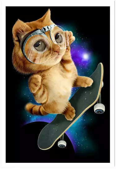 Skate chat - poster chambre ado