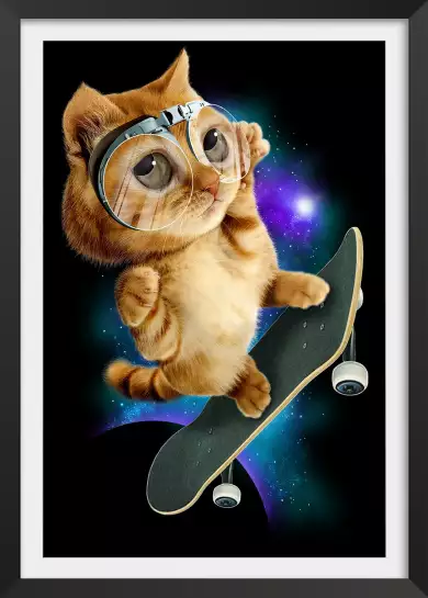 Skate chat - poster chambre ado