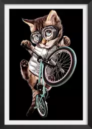 Bmx chat - poster chambre ado