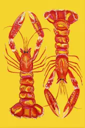 Langoustines - affiche cuisine design