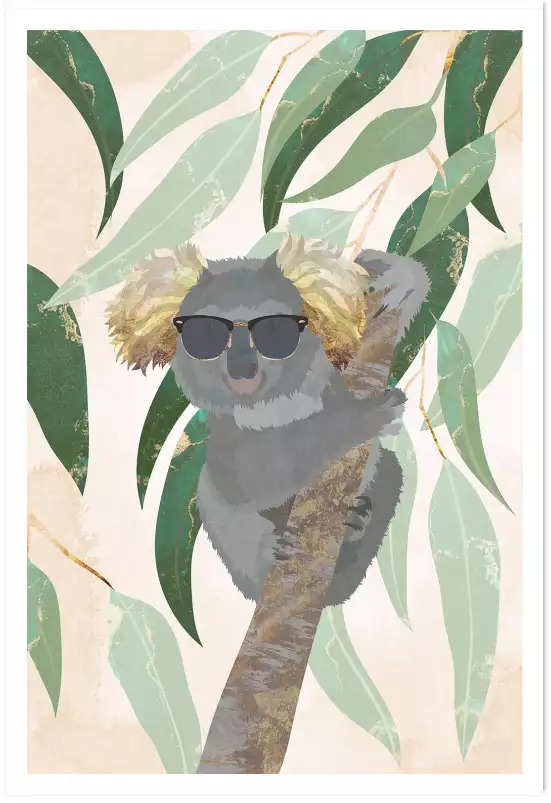 Cool koala - affiche animaux