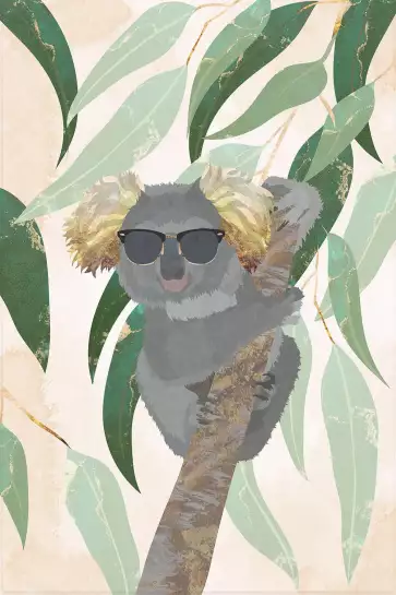 Cool koala - affiche animaux