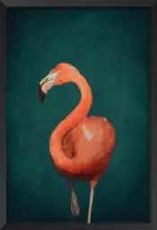 Flamant rose vert - affiche oiseaux