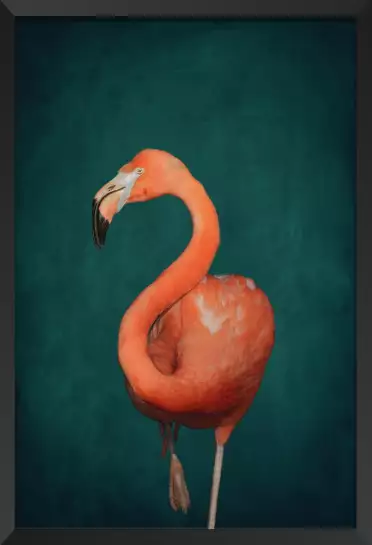 Flamant rose vert - affiche oiseaux