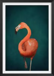 Flamant rose vert - affiche oiseaux