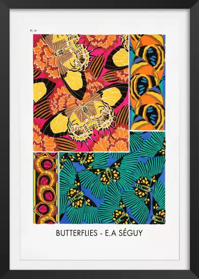 Planche entomologique Papillons 18 - poster vintage