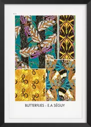 Planche entomologique Papillons 20 - poster vintage